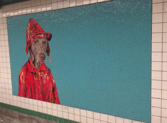 Good news, F Train riders: 23rd Street Station reopens, and it's nifty William Wegman art for a rainy day.